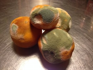 Rådne appelsiner