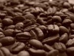 Kaffeafhængig – En måned uden kaffe, hvordan føles det egentlig?